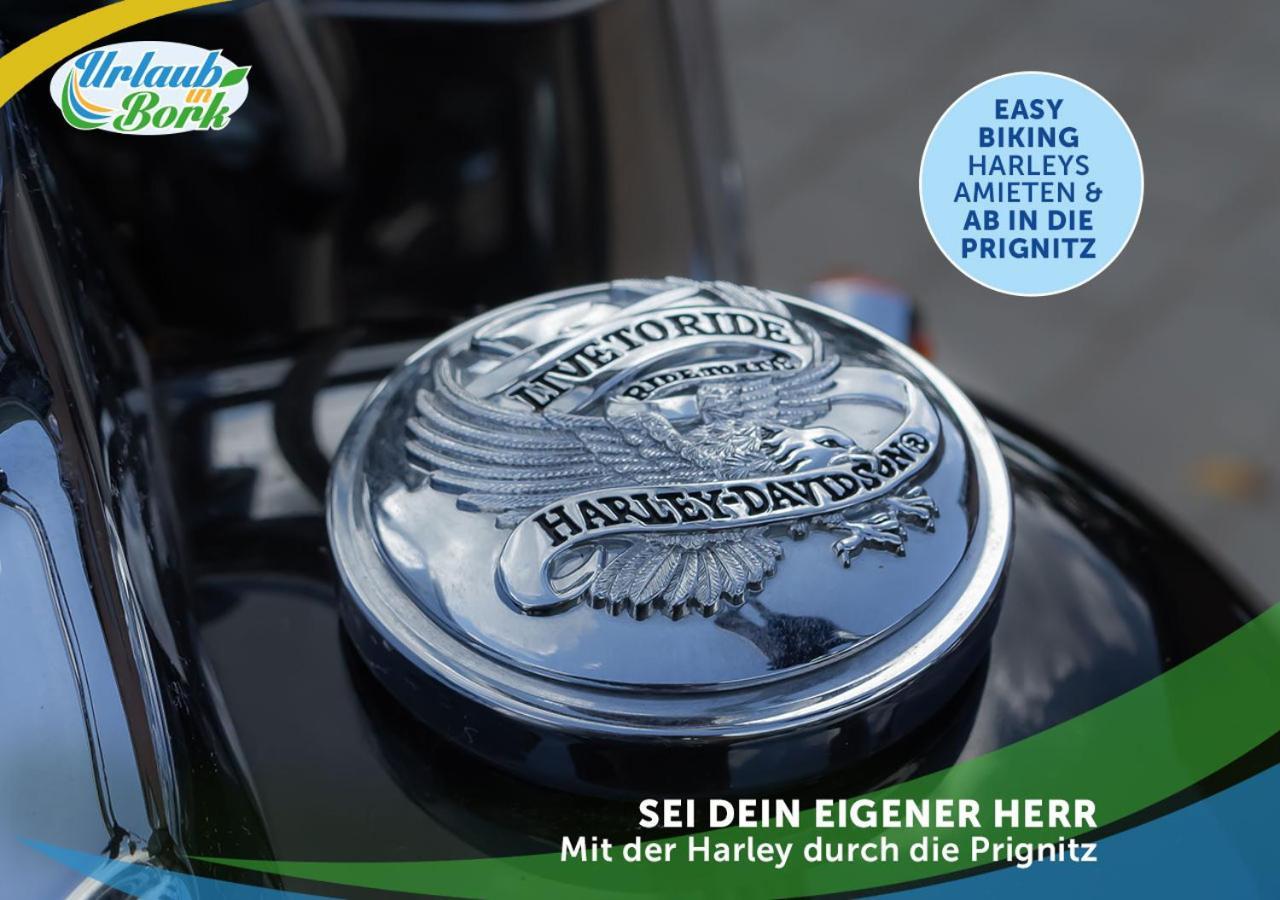 Jagd-Angler-Suite-04-Im-Wald-Am-See Kyritz Exterior photo